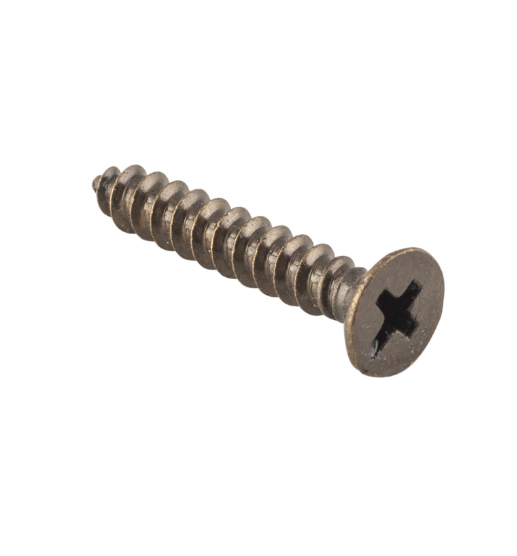 Hinge Screws - Stainless Steel L25mm 8 Gauge