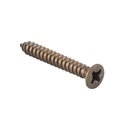 Hinge Screws - Stainless Steel L32mm 10 Gauge