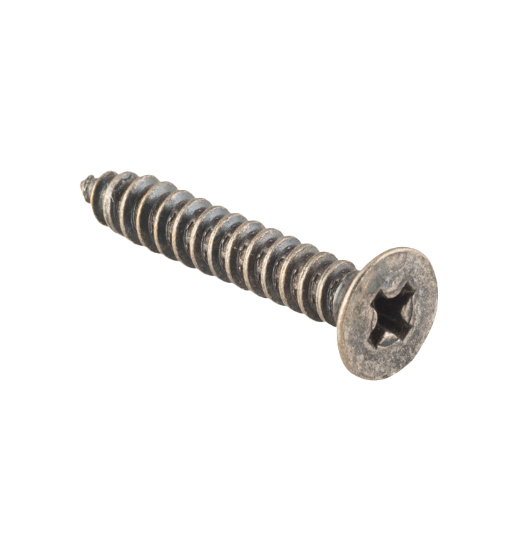 Hinge Screws - Stainless Steel L25mm 8 Gauge