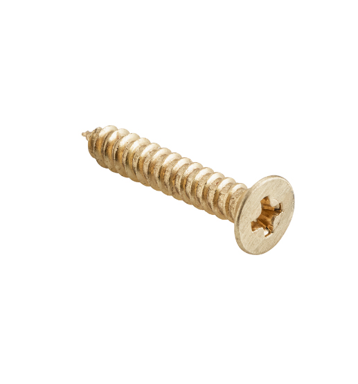 Hinge Screws - Stainless Steel L25mm 8 Gauge