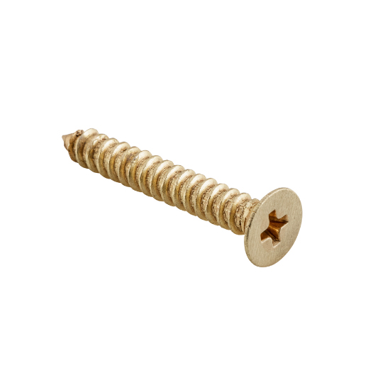 Hinge Screws - Stainless Steel L32mm 10 Gauge